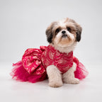 Gulabi Twirl Dress