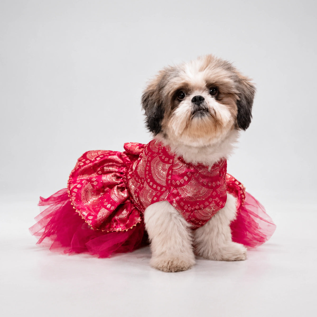Gulabi Twirl Dress