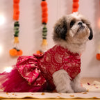 Gulabi Twirl Dress
