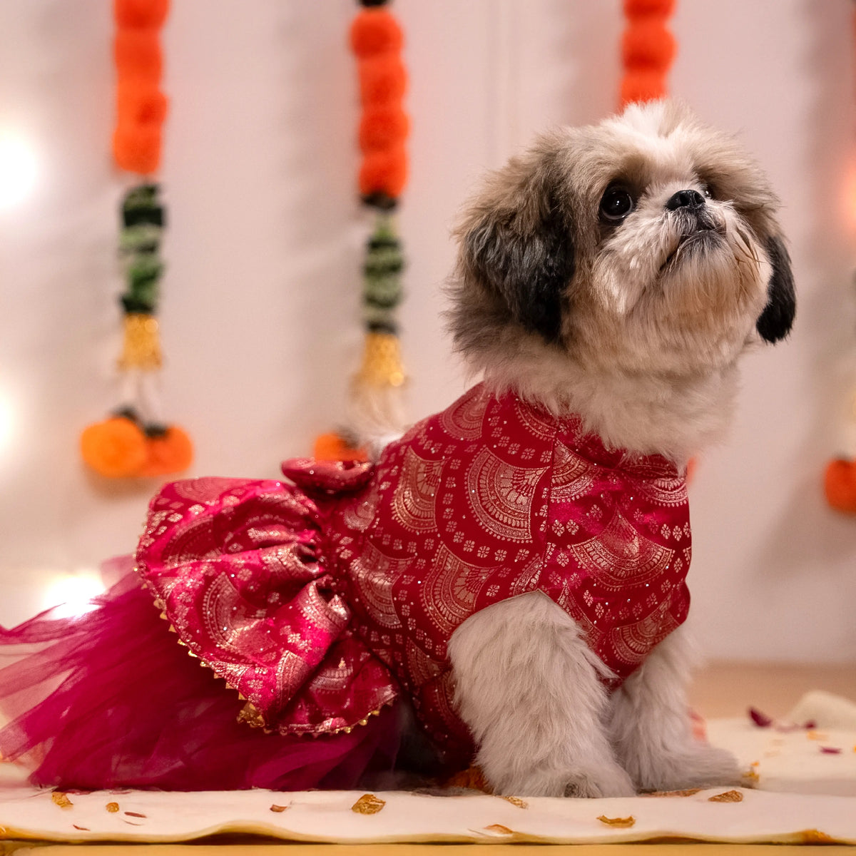 Gulabi Twirl Dress