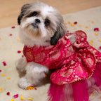 Gulabi Twirl Dress