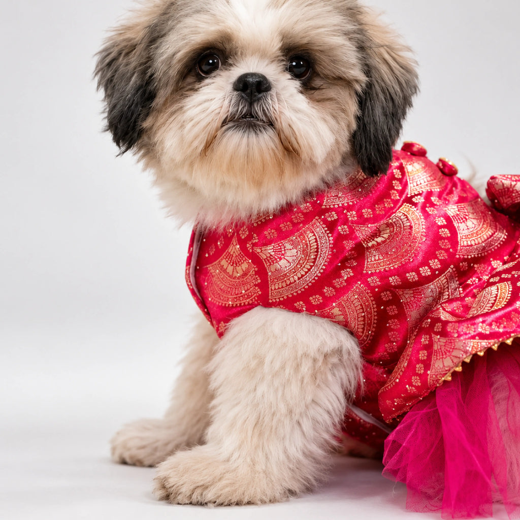 Gulabi Twirl Dress