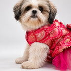 Gulabi Twirl Dress