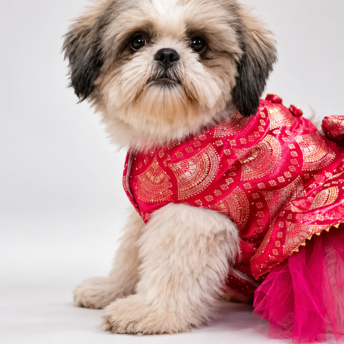 Gulabi Twirl Dress