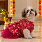 Gulabi Twirl Dress