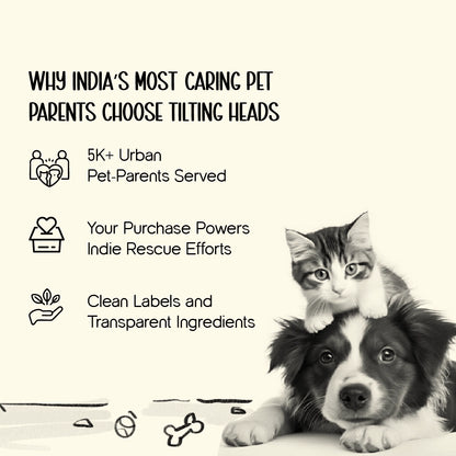 PupLennon Shades for Pets – Stylish UV Protection Sunglasses