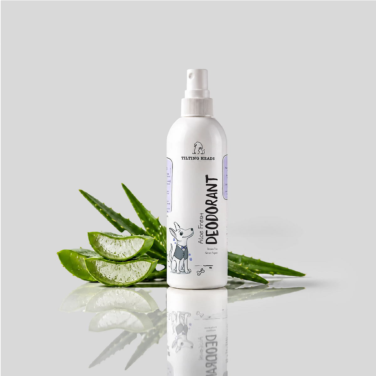 Aloe Fresh Deodorant
