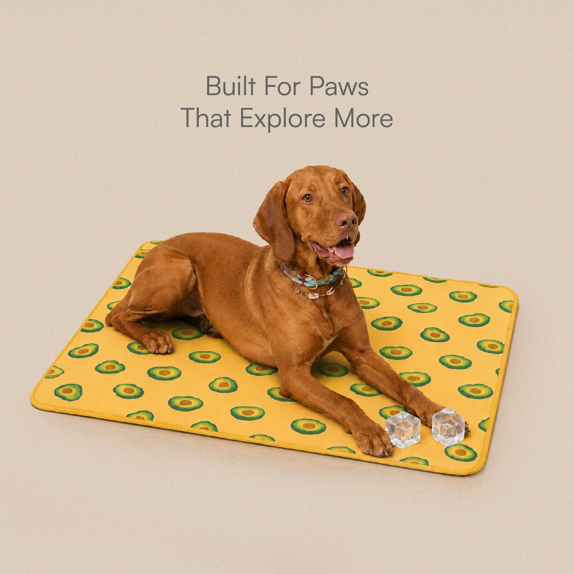 AvoCool Mat – Self-Cooling Gel Mat for Dogs & Cats