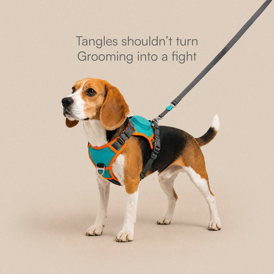 FusionGrip Harness – 2-in-1 Dog Harness with Retractable Leash