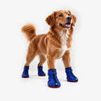 WildTrail Boots