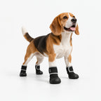 SnugSole Boots