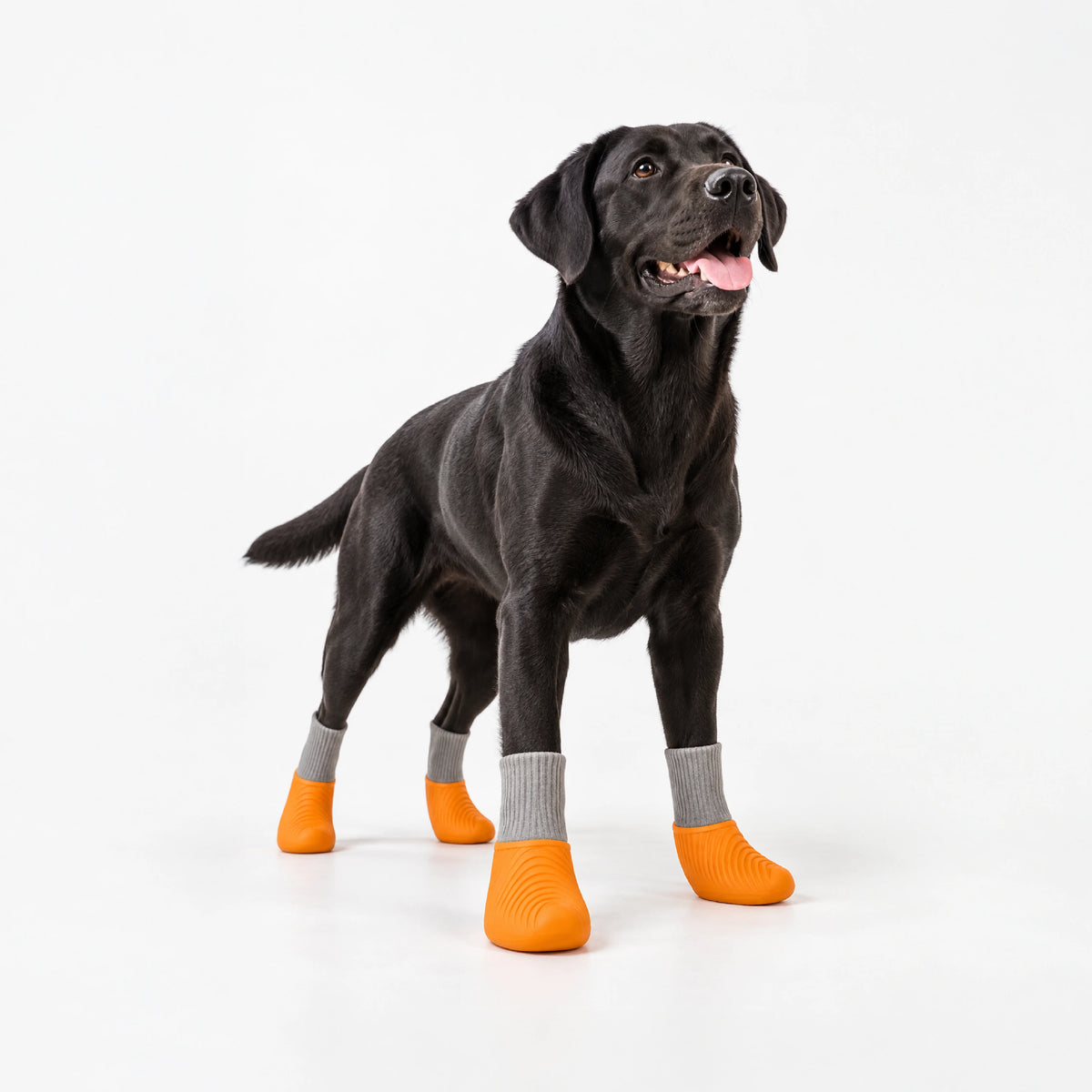 TenderTrek Silicone Boots