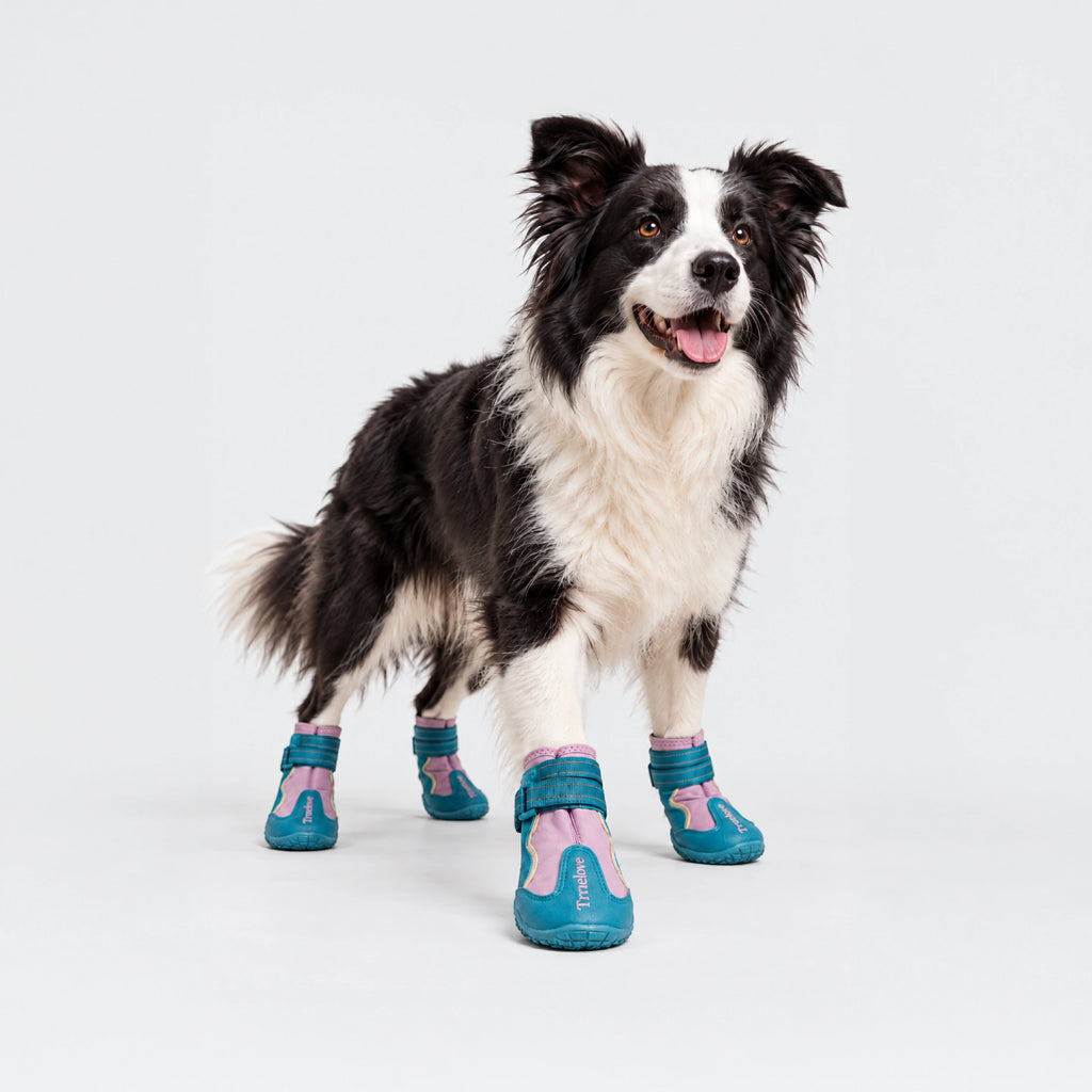 TerraGuard Boots