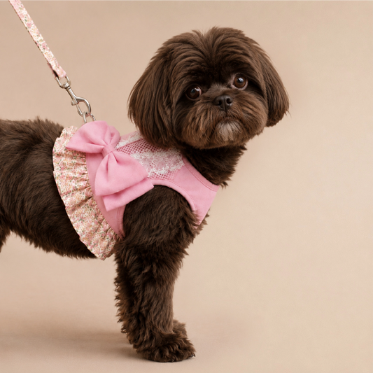 BLOOMI Harness – Cotton Floral Vest Harness for Small Pets