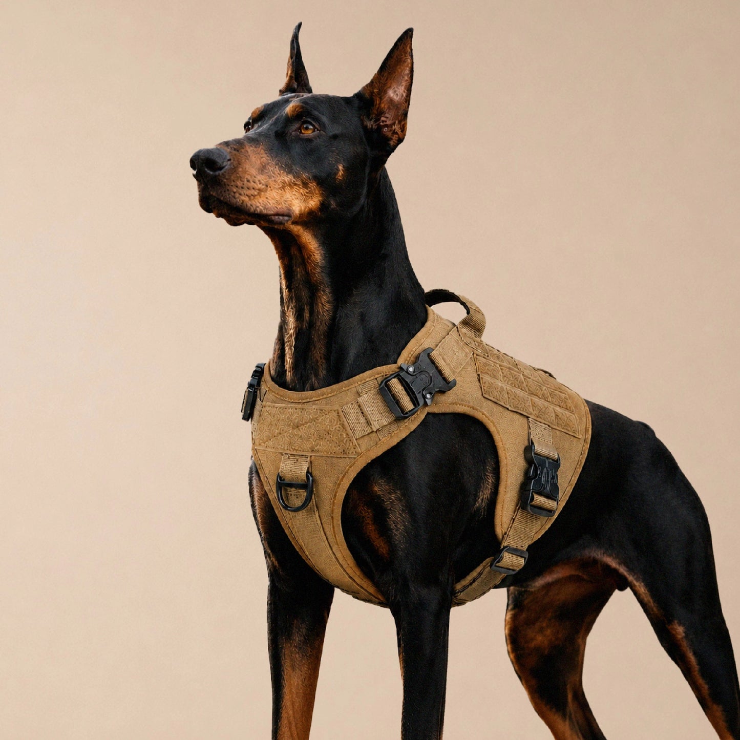 K9 Harness | Controlled Grip | Tactical Gear For Dogs