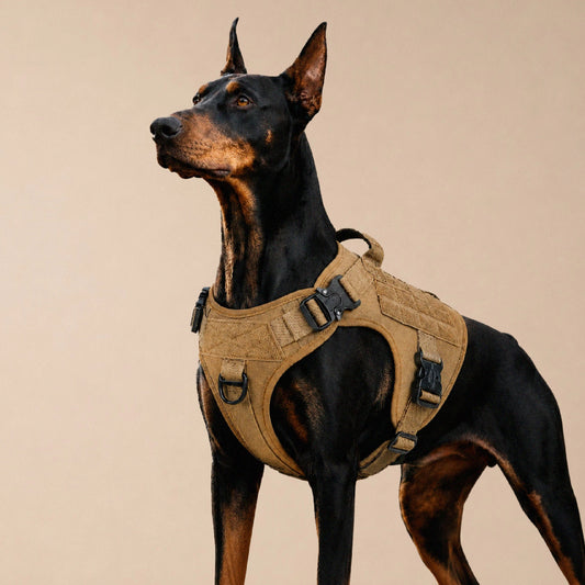 K9 Harness | Controlled Grip | Tactical Gear For Dogs