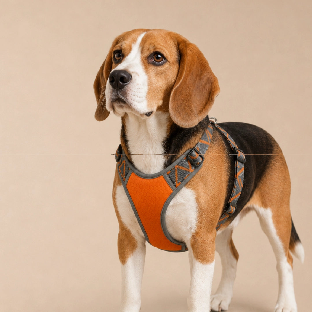 BlazeStep Harness – No-Pull Mesh Harness for Comfortable Dog Walks