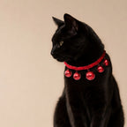 Scarlet Bell Collar – Handcrafted Woven Collar for Pets