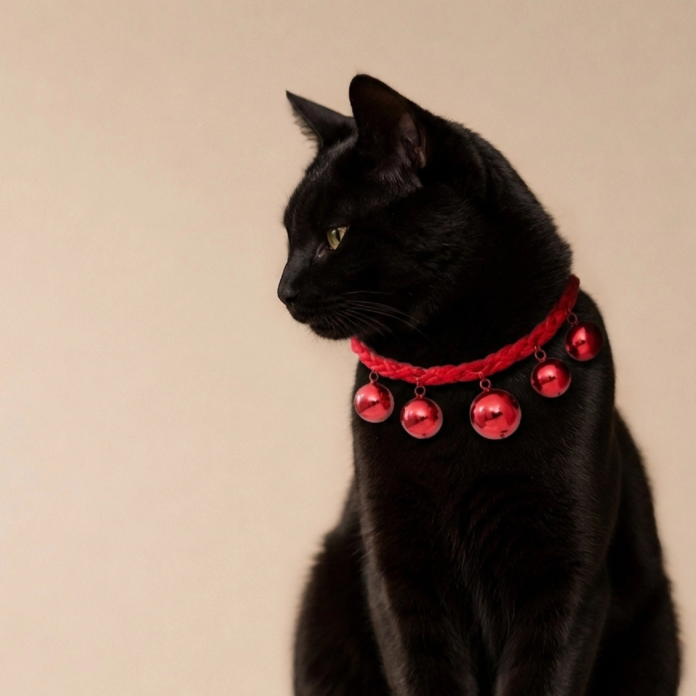 Scarlet Bell Collar – Handcrafted Woven Collar for Pets