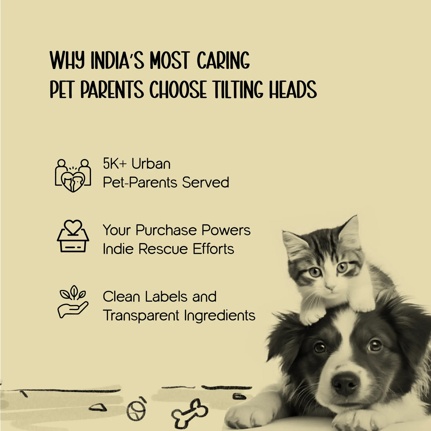 FloatFetch Toy | Swim, Fetch & Play – Safe Floating Fun for Active Pets