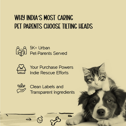 FloatFetch Toy | Swim, Fetch & Play – Safe Floating Fun for Active Pets