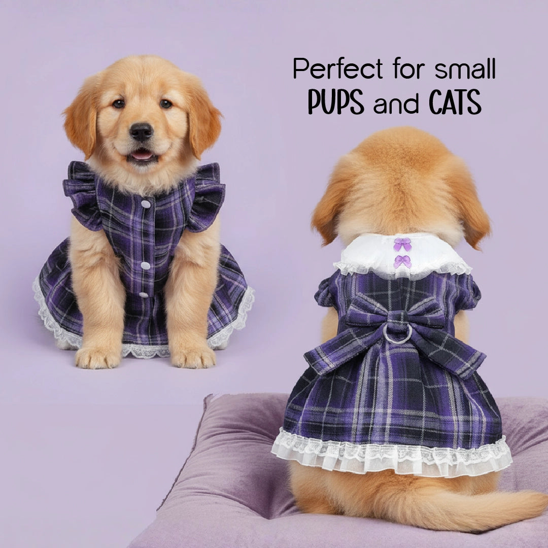 Frolic Harness – Stylish Outfit & Secure Walks