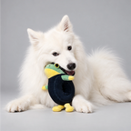 Frog Plush Toy