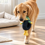 Frog Plush Toy