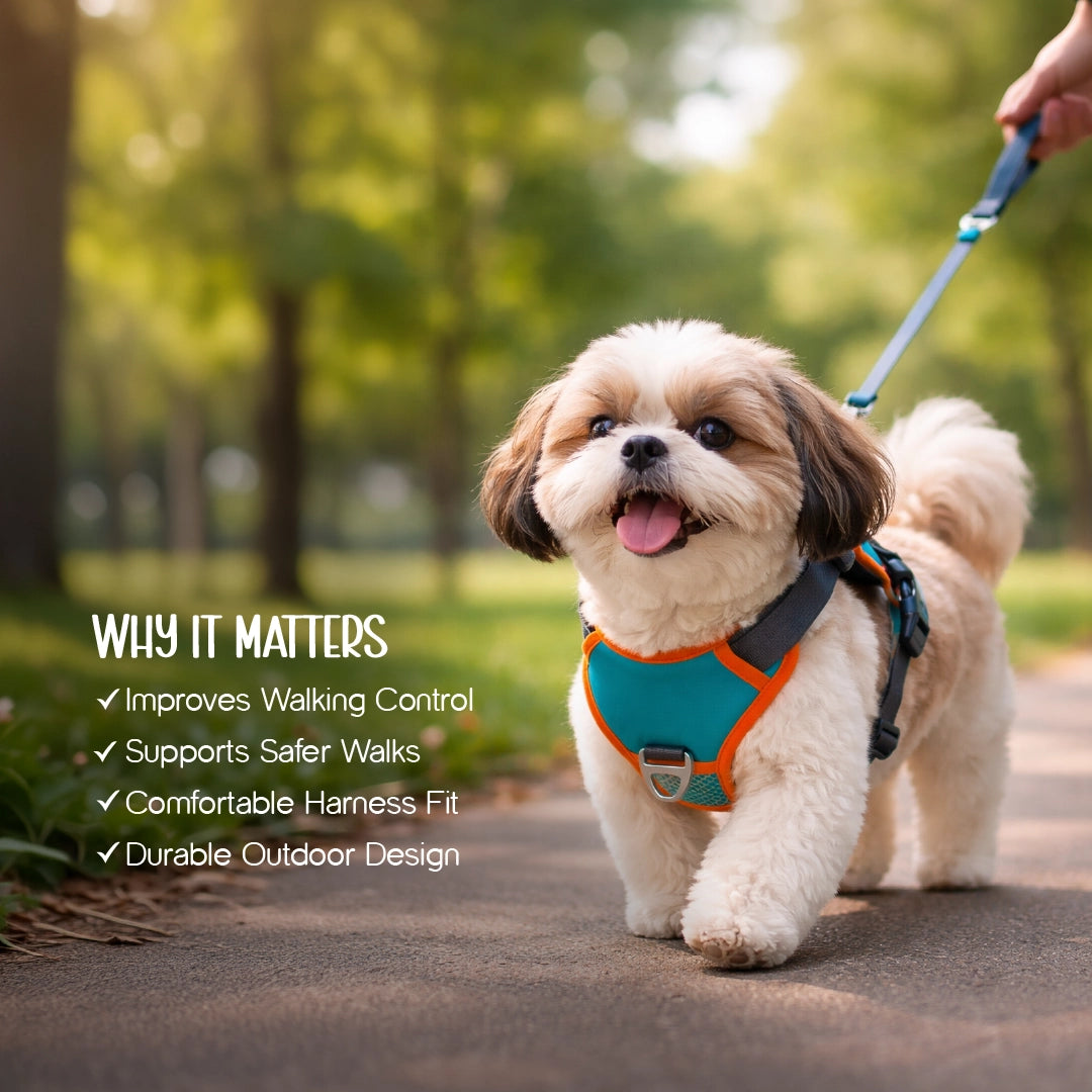 FusionGrip Harness – 2-in-1 Dog Harness with Retractable Leash
