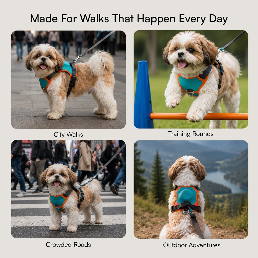 FusionGrip Harness – 2-in-1 Dog Harness with Retractable Leash