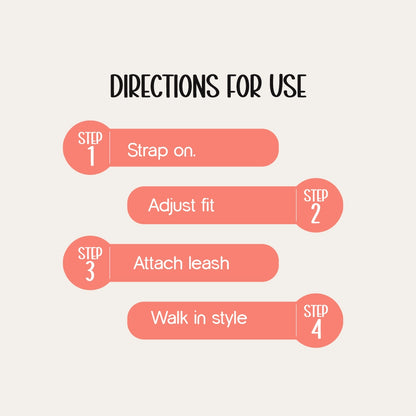 GlamStride Harness – Stylish, Safe & Comfortable Walks