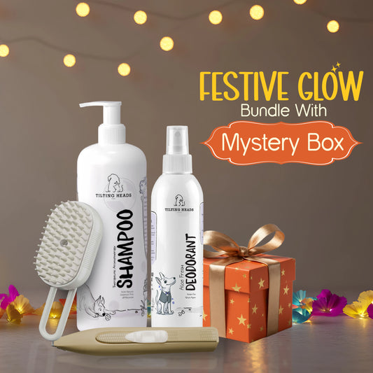 FestiveGlow Bundle with Mystery Gift