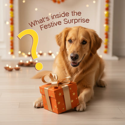 FestiveGlow Bundle with Mystery Gift