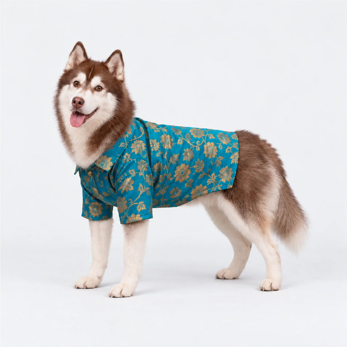 GarbaGlow Kurta