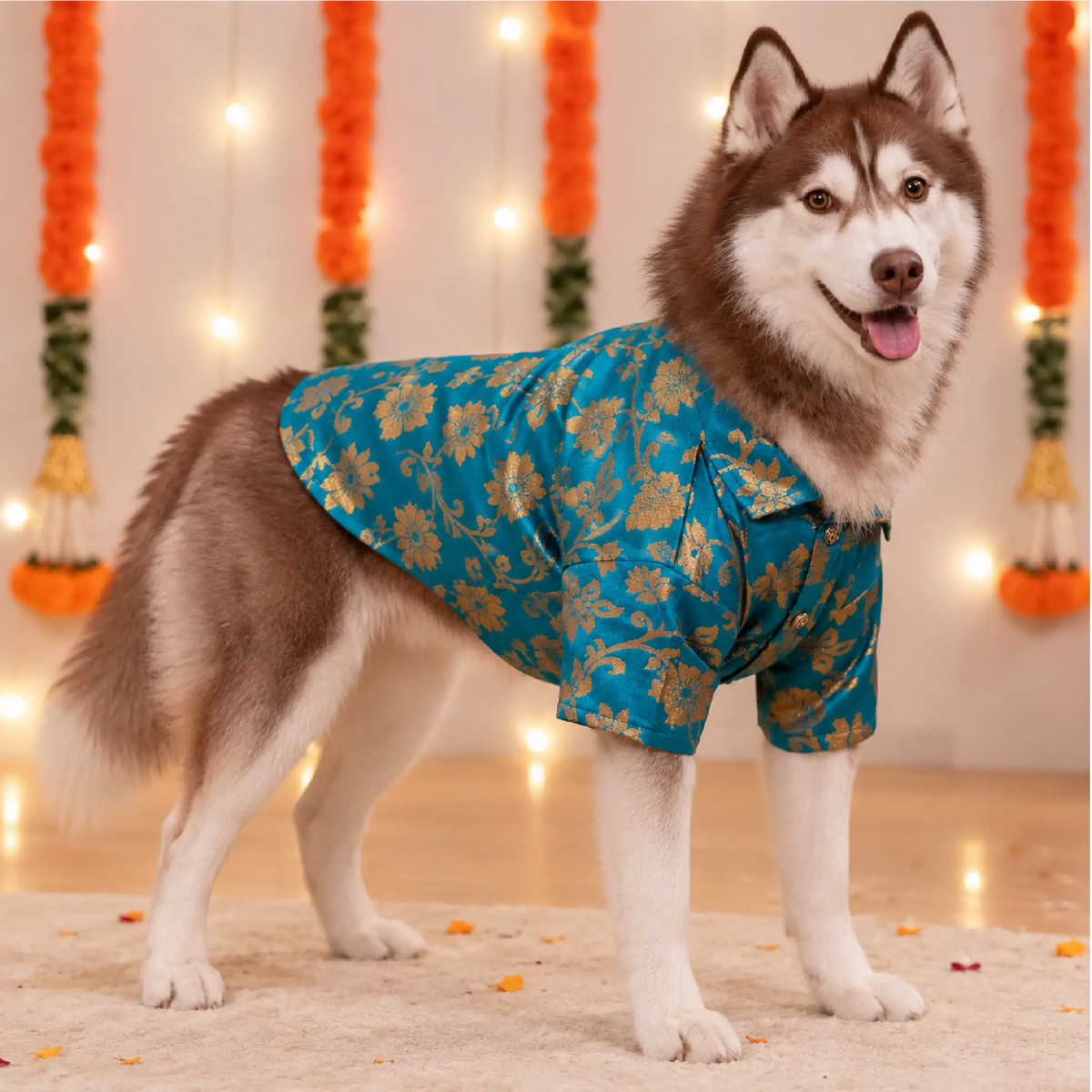 GarbaGlow Kurta