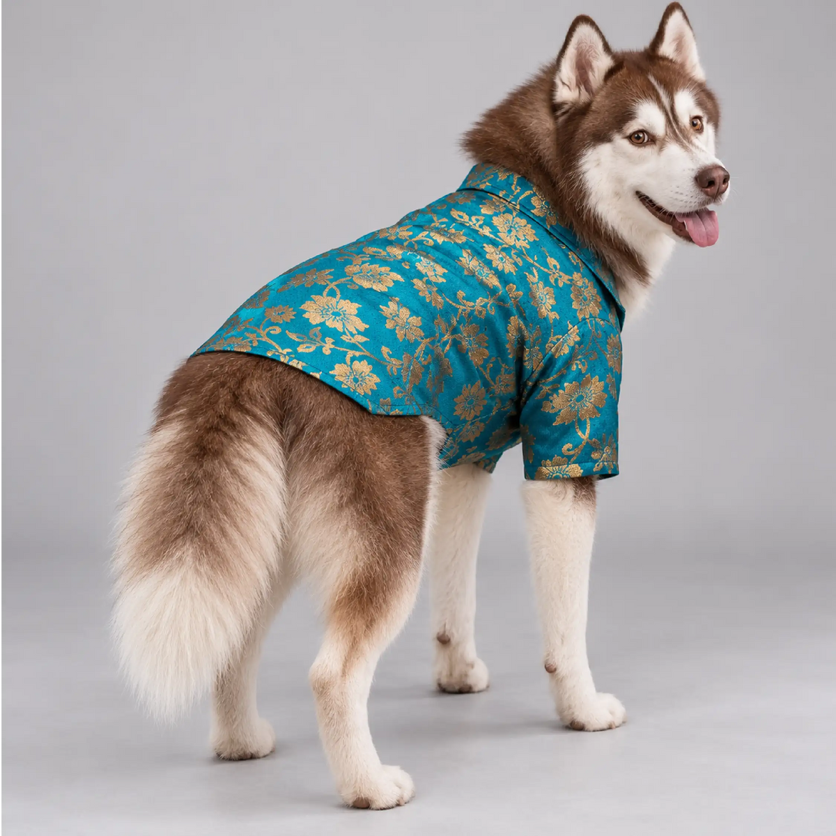 GarbaGlow Kurta