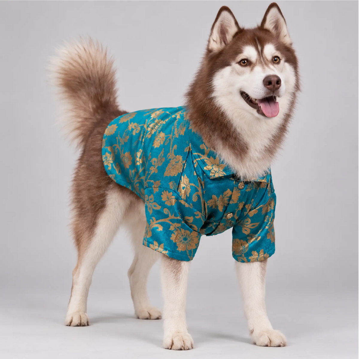 GarbaGlow Kurta
