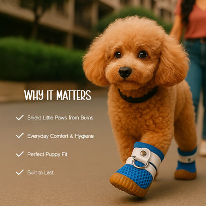Guardian Grip Boots – Paw Protection & Comfort Wear for Small Pets