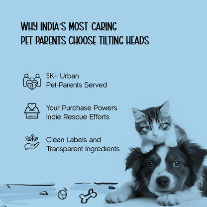 Guardian Grip Boots – Paw Protection & Comfort Wear for Small Pets