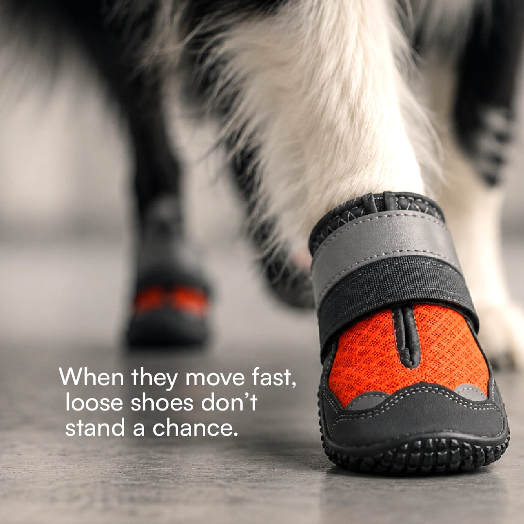 Gripster Shoes | Anti-Slip Paw Protection | Comfort & Safety in Every Step