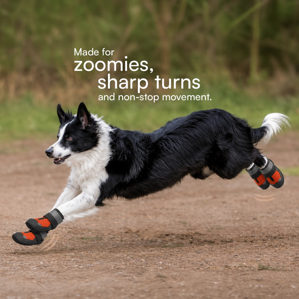 Gripster Shoes | Anti-Slip Paw Protection | Comfort & Safety in Every Step