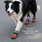 Gripster Shoes | Anti-Slip Paw Protection | Comfort & Safety in Every Step