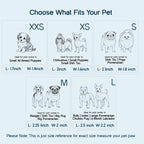 Guardian Grip Boots – Paw Protection & Comfort Wear for Small Pets - Tilting Heads