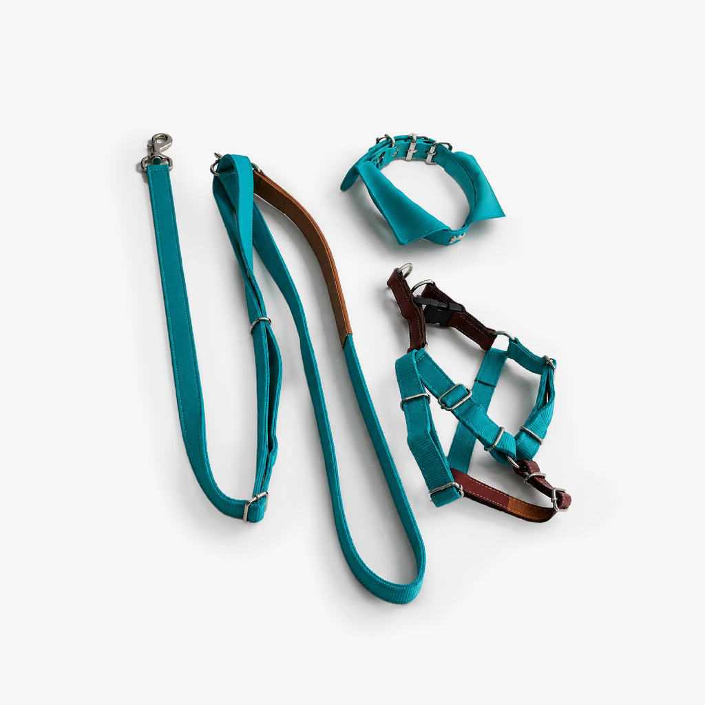 Signature Walk Set