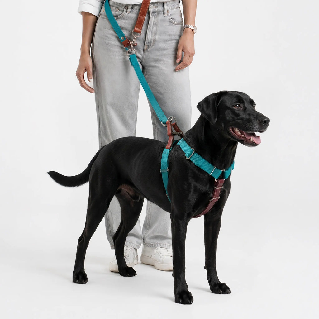 Signature Walk Set