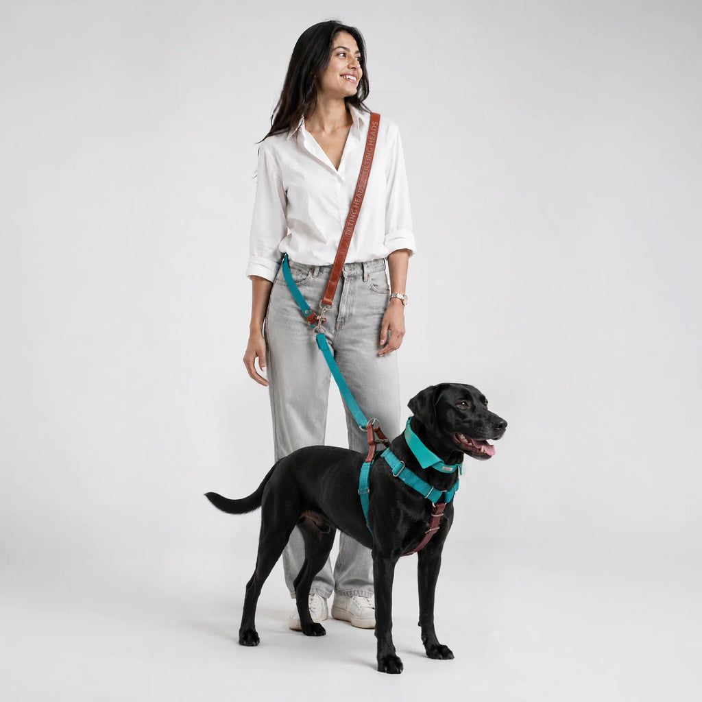 Woman standing with black dog wearing teal and brown harness, teal leash attached