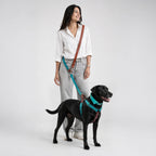 Woman standing with black dog wearing teal and brown harness, teal leash attached