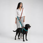Signature Walk Set