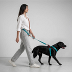 Signature Walk Set