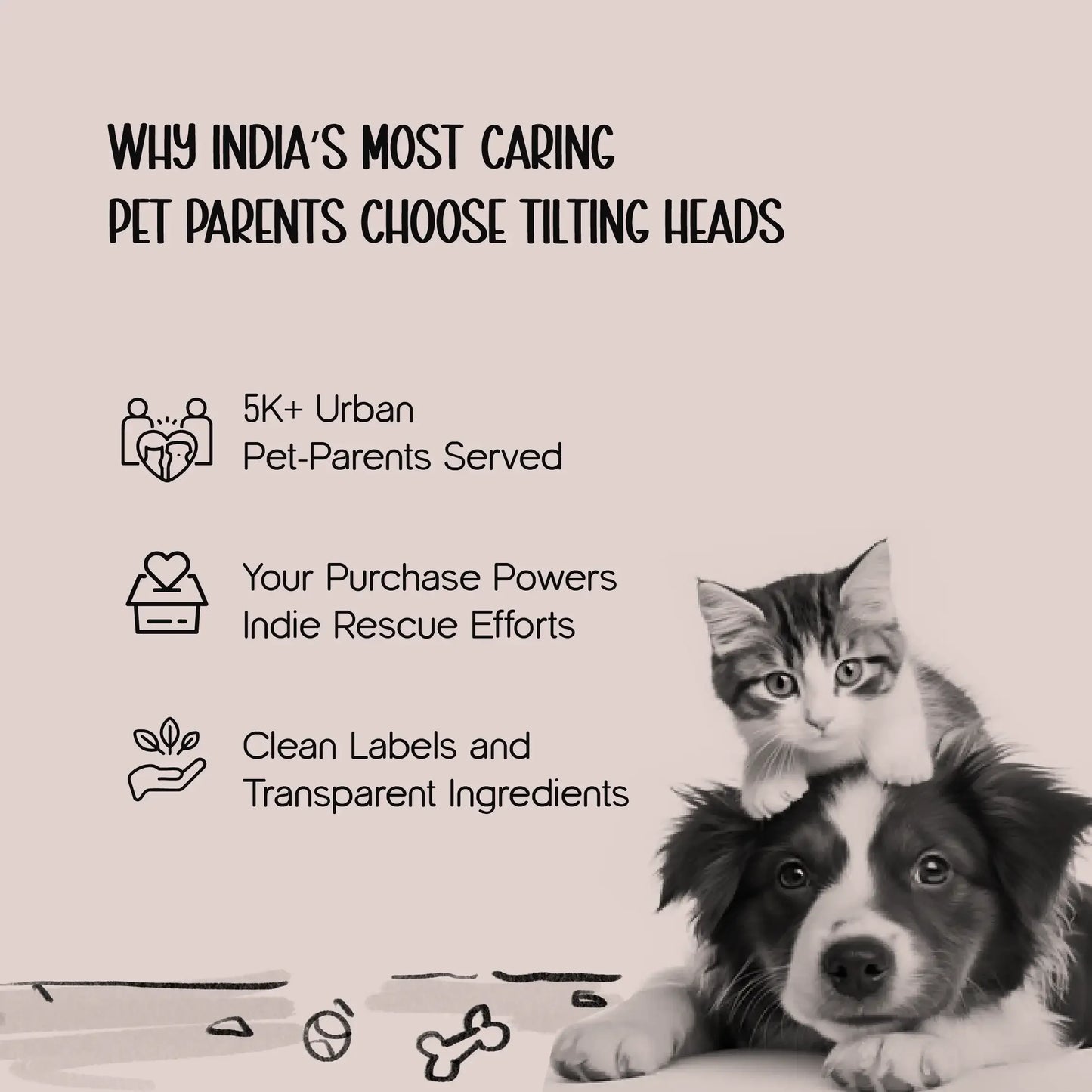 HideNZoom 3-Way Cat Tunnel – Foldable Fun for Playful Cats - Tilting Heads